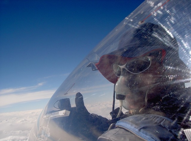  阿根廷的滑翔机 